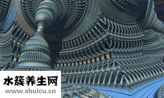 新海參怎么處理