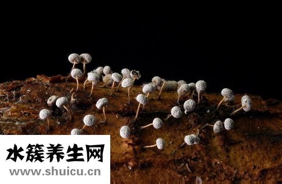 眼珠子紅是怎么回事