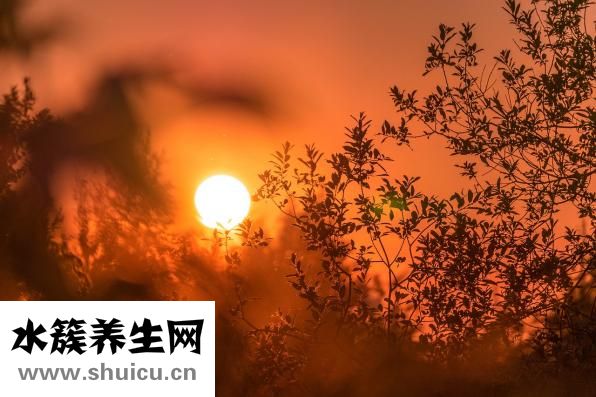 怎么才能不懷上孕