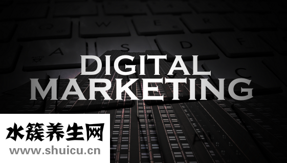 流浪時(shí)沒(méi)錢(qián)怎么辦