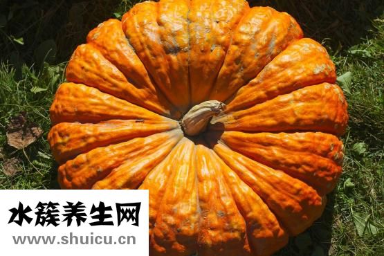 四個的飯怎么做面條