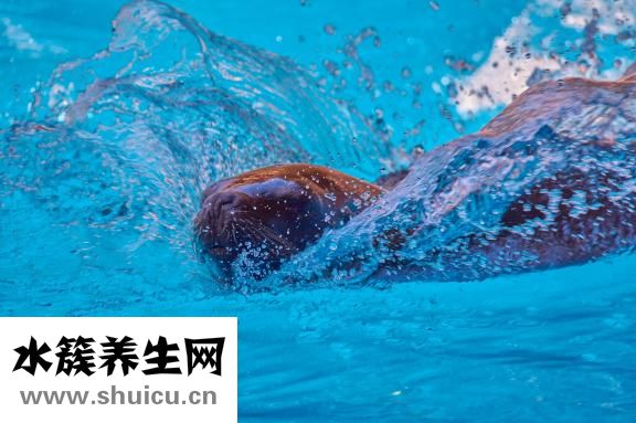 膝蓋有骨刺怎么鍛煉