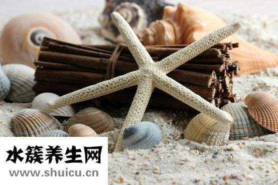 扇貝貝殼怎么獲得