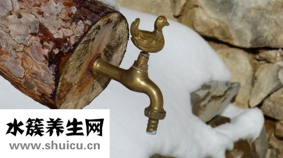 怎么認老鴨的年齡