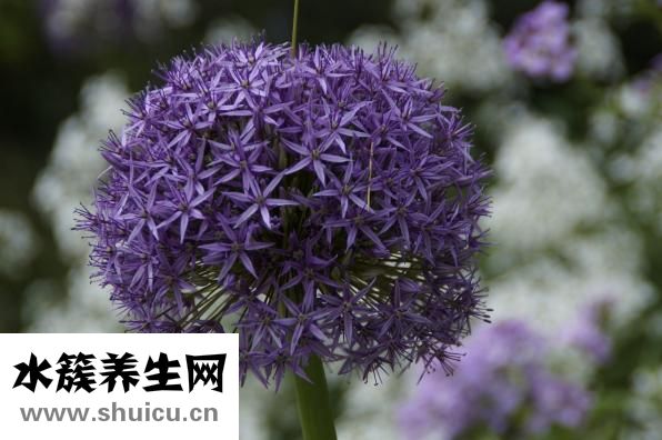 平時(shí)怎么鍛煉陰莖