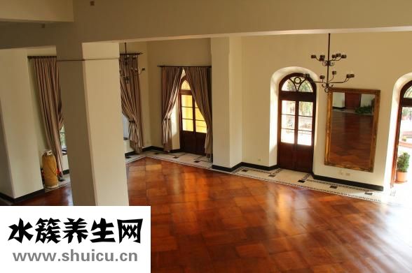 橡皮樹凍了怎么辦