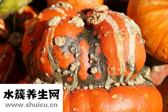 家里豆子生蟲(chóng)怎么除