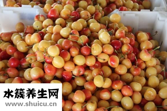 怎么才能不懷上孕