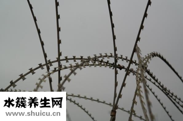 肛門外息肉怎么辦