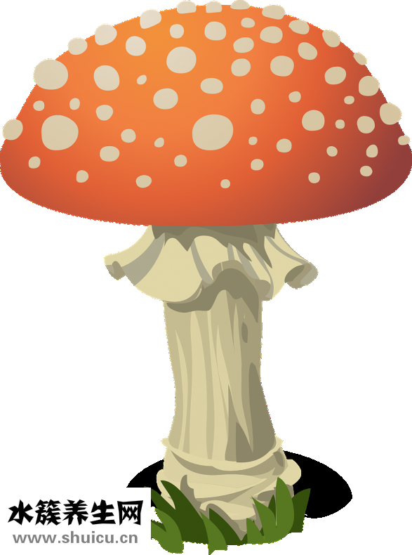 江嘉年怎么變胖的