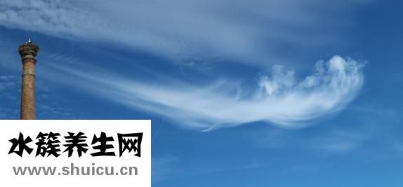 羊水污染怎么辦