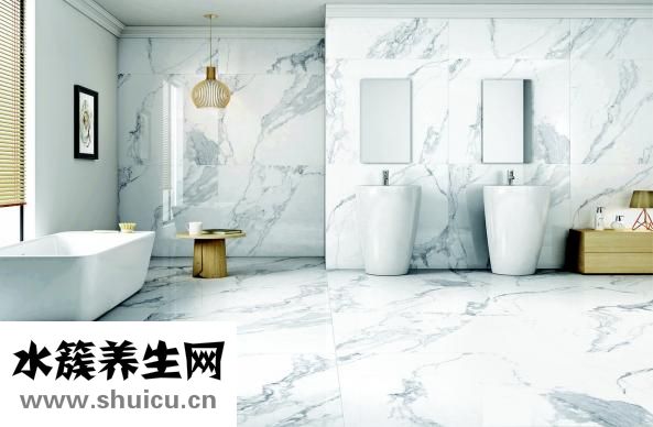 橡皮樹凍了怎么辦