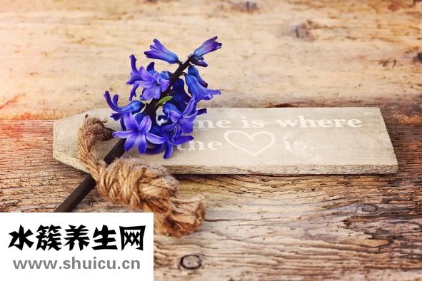 怎么可以搶回男友