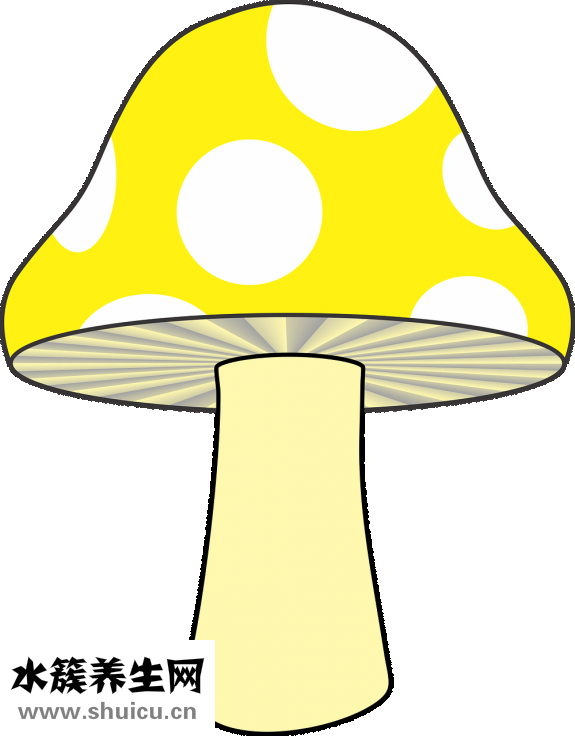 腳指甲蓋掀了怎么辦