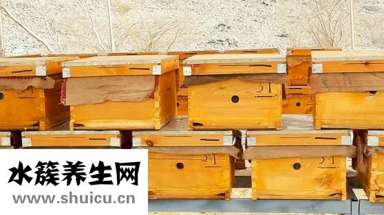 柚子茶太苦怎么辦