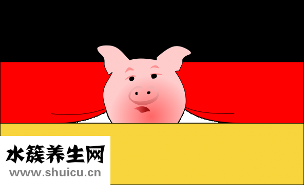 洋蔥怎么吃好吃