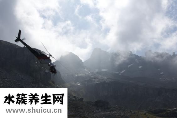 江嘉年怎么變胖的