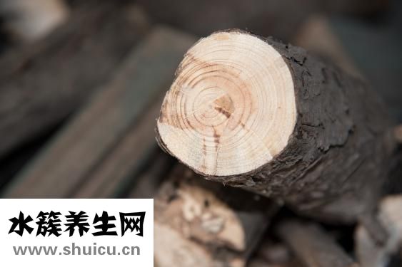 小百靈鳥(niǎo)怎么分公母