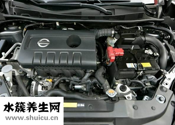 藍鳥植物怎么剪根