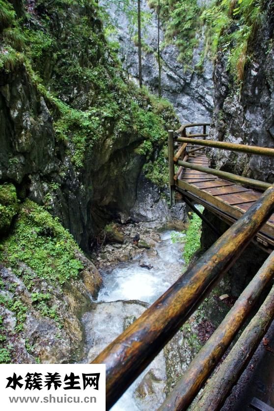 眼袋青色怎么回事