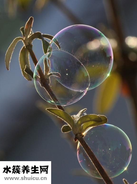 泡大珠怎么變小