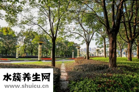 沙宣頭要怎么打理