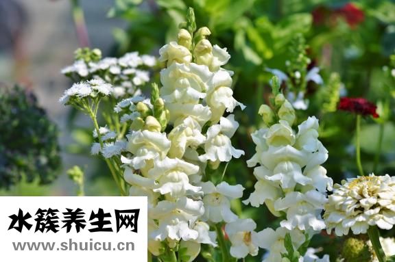 怎么更改退貨單號