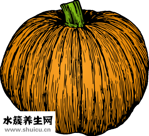 薺菜雞蛋餃子怎么