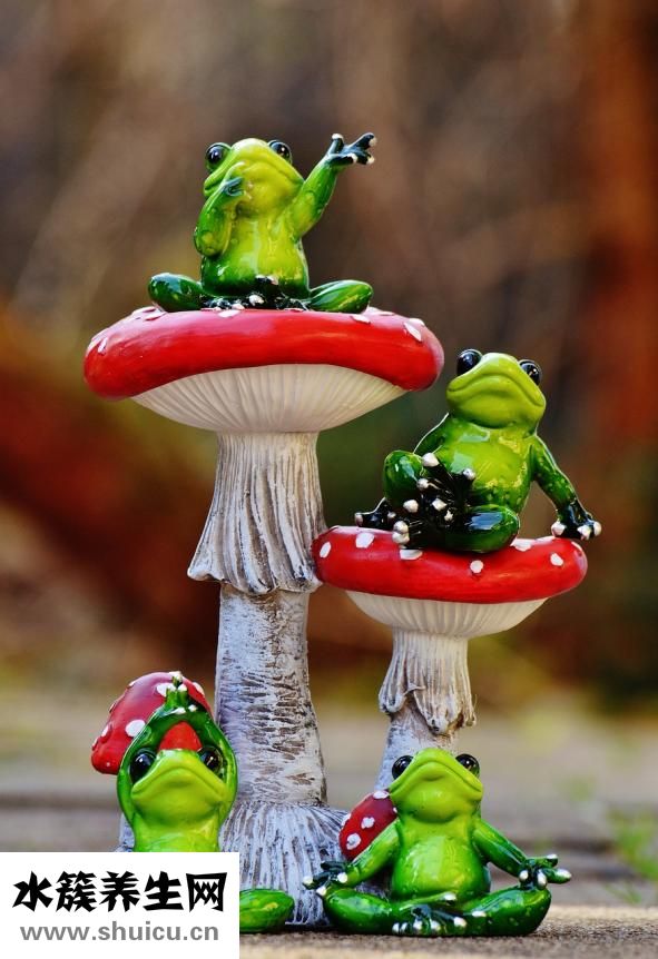 點痦子冒水了怎么辦