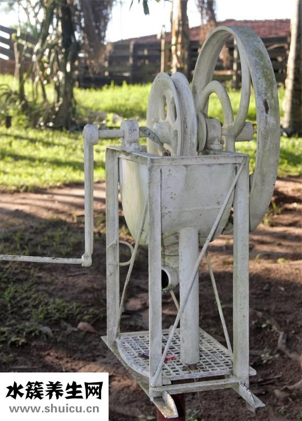 甘蔗煲湯怎么做