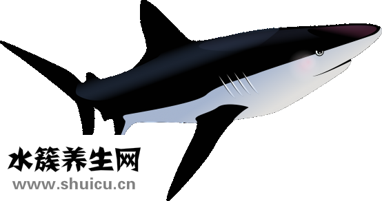 熱帶魚外寄怎么治