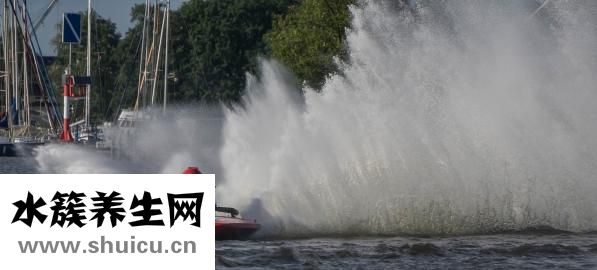 江嘉年怎么變胖的