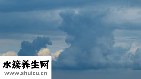 沒屁股怎么穿衣服