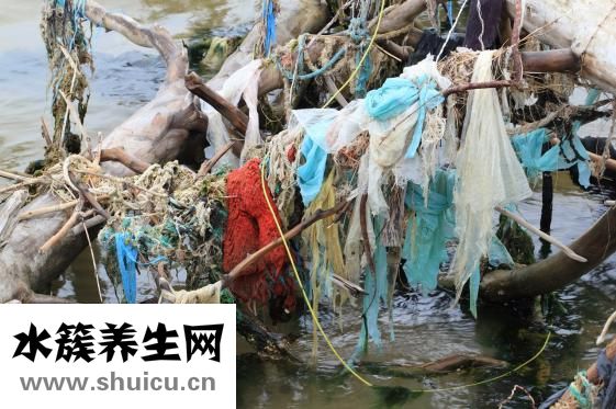 羊水污染怎么辦