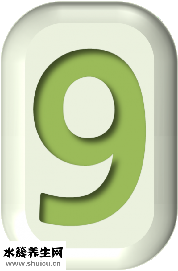 貝殼頭真假怎么看