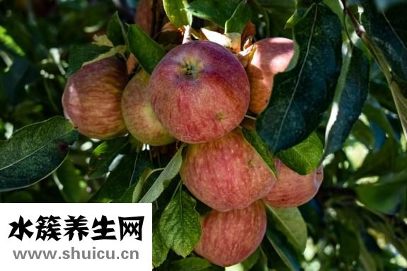 螺絲怎么看好壞