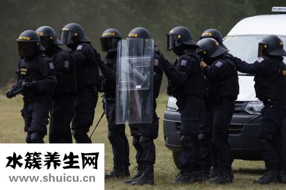 爬行墊怎么選擇