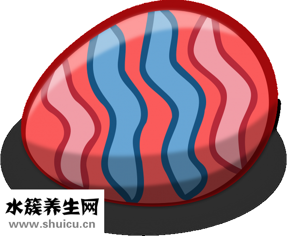 脾血虛怎么治療方法