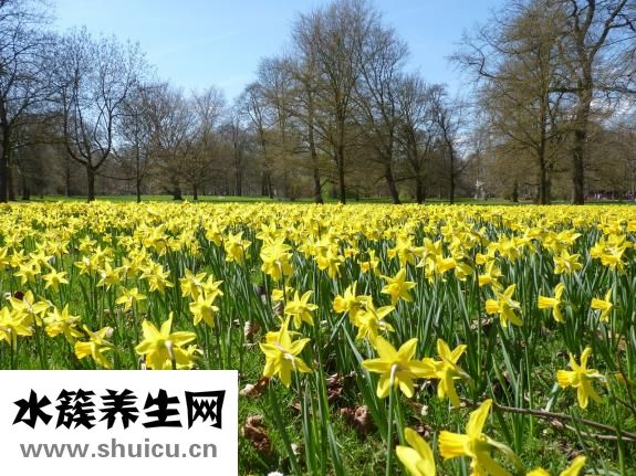 臉上出黃水怎么治