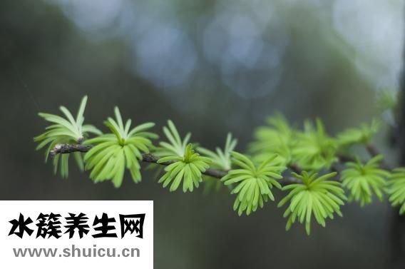 生氣過度缺氧怎么辦