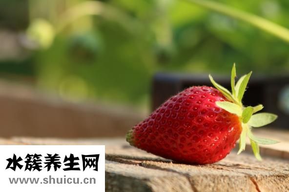 草莓怎么放冰箱