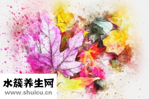 孩子罵母親怎么辦