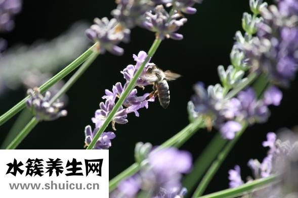 皮膚受傷該怎么辦