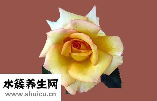 感覺無路可走怎么辦