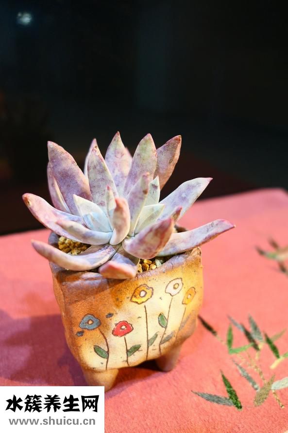 眼皮上肉多怎么辦