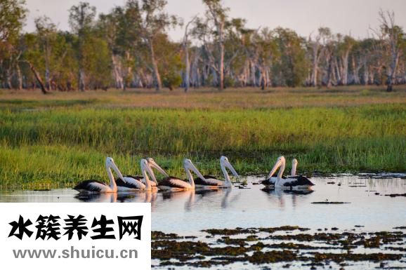 男生怎么做軟發