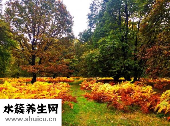 慈禧太后怎么洗澡