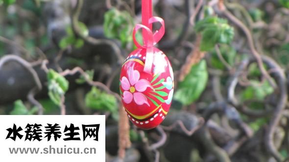 脾血虛怎么治療方法