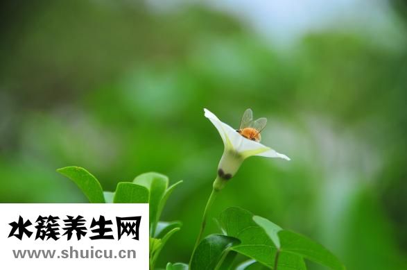 生氣過度缺氧怎么辦