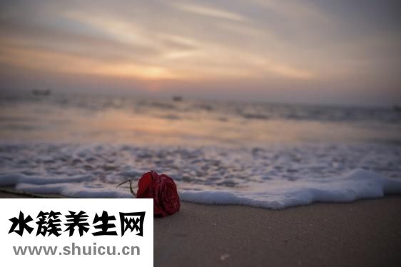 皮膚超級(jí)干怎么辦